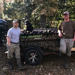 Meet your Posher, Collin